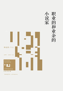 職業(yè)的和業(yè)余的小說家