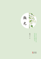 微光在线阅读