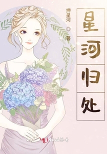 星河歸處