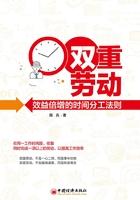 双重劳动:效益倍增的时间分工法则在线阅读