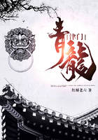 津门青龙在线阅读