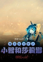 精灵宝可梦之小智和莎莉娜在线阅读