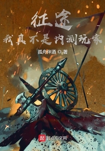 征途：我真不是內(nèi)測玩家
