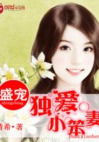 盛寵之獨愛小笨妻在線閱讀