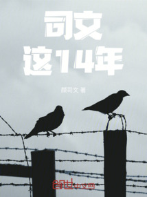 司文這14年