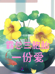 霸總三胞胎：一份愛