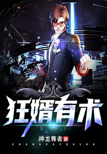 狂婿有術