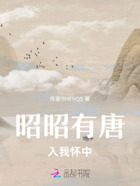 昭昭有唐,入我怀中在线阅读