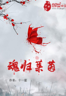 魂歸萊茵