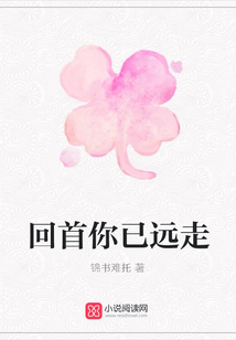 回首你已遠走
