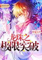 龍珠之極限突破在線閱讀