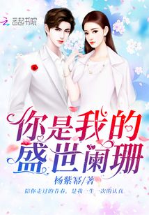 你是我的盛世闌珊