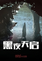 黑夜天啟在線閱讀