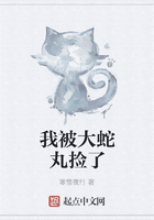我被大蛇丸捡了在线阅读