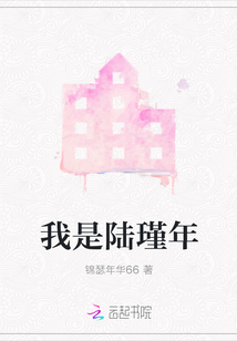 我是陸瑾年
