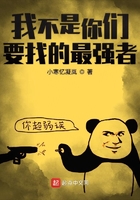 我真不是你們要找的最強者在線閱讀