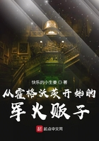 从霍格沃茨开始的军火贩子在线阅读