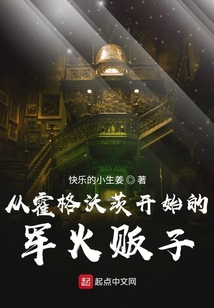 從霍格沃茨開始的軍火販子
