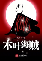 木葉海賊在線閱讀