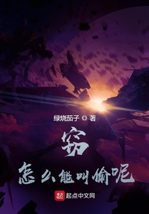 竊，怎么能叫偷呢？