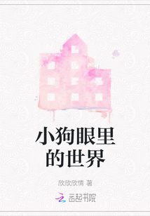 小狗眼里的世界