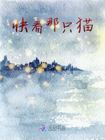 快看那只貓