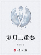 岁月二重奏在线阅读