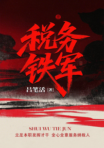 稅務鐵軍