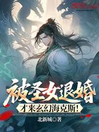 被圣女退婚，才來玄幻海克斯！在線閱讀