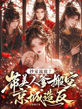 抄家流放?带美人爹搬空京城造反在线阅读