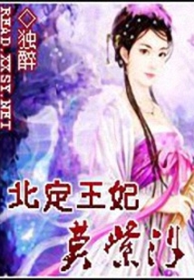 北定王妃莫紫汐