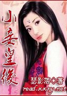 小妾皇后