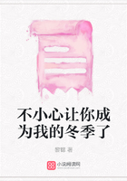 不小心让你成为我的冬季了