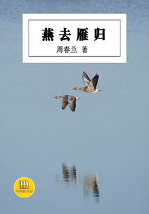燕去雁歸（中國好小說）