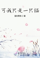可我只是一只貓在線閱讀
