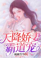 天降娇妻霸道宠.在线阅读