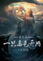 进化:从一只乌龟开始