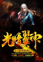 光暗翼神