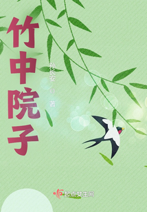 竹中院子