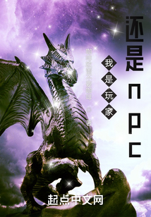 我是玩家還是npc