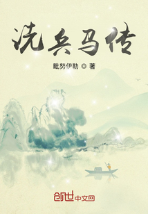 洗兵馬傳