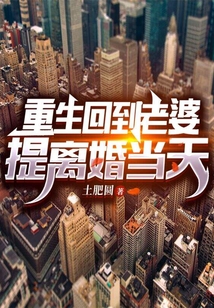 重生回到老婆提離婚當(dāng)天