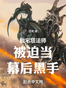 我,宅塔法師,被迫當幕后黑手