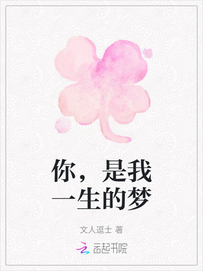 你，是我一生的梦在线阅读