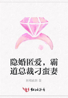 隱婚匿愛，霸道總裁刁蠻妻在線閱讀