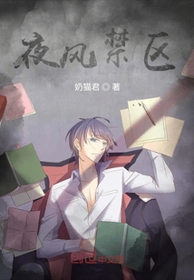 夜風(fēng)禁區(qū)