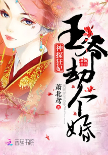 神探狂妃:王爺,劫個婚