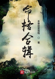 命格合辑