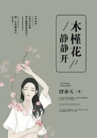 木槿花靜靜開在線閱讀