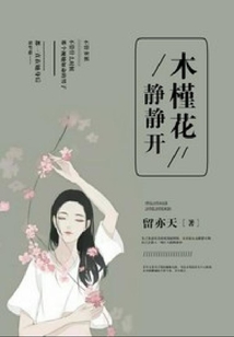 木槿花靜靜開